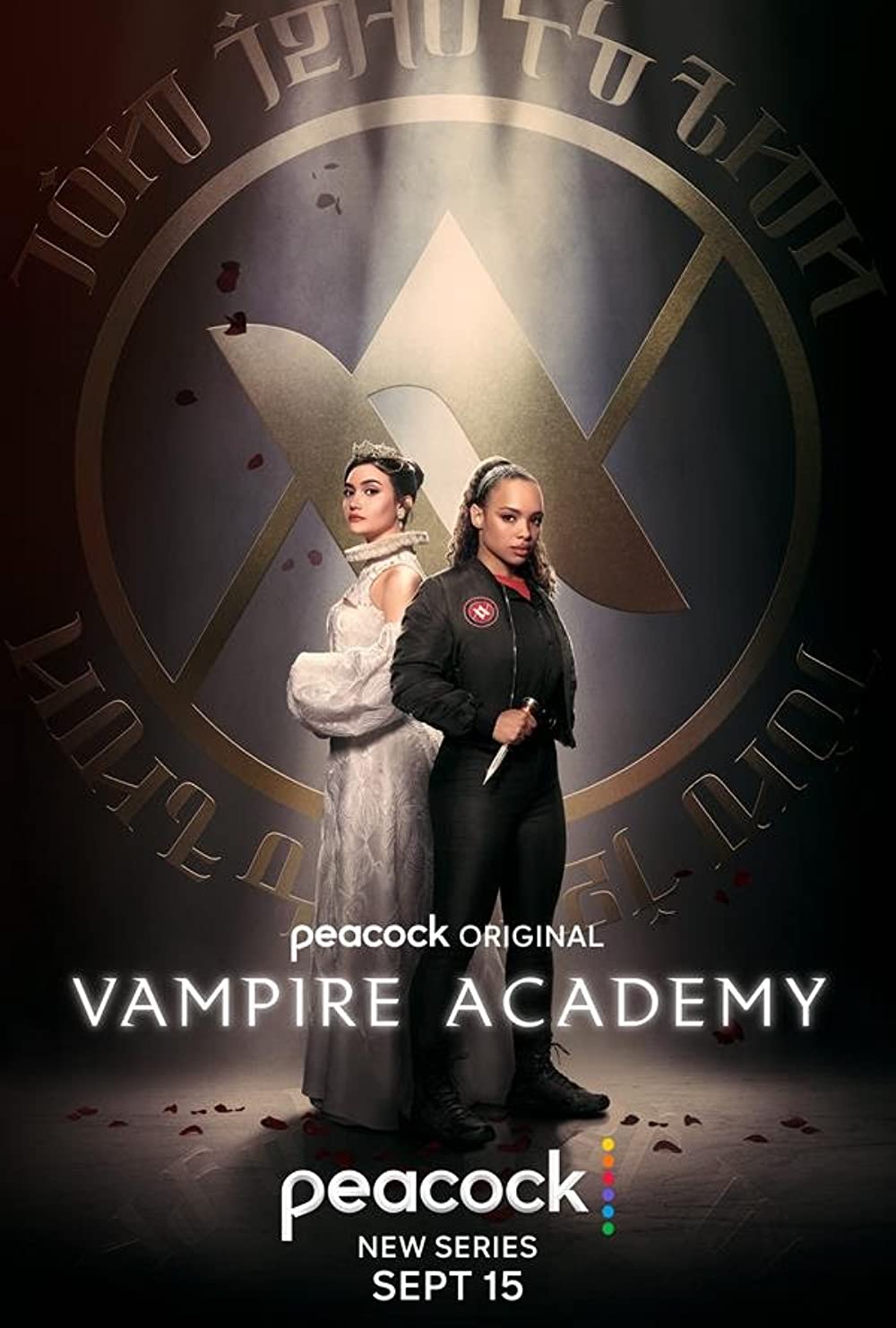 vampire academy poster