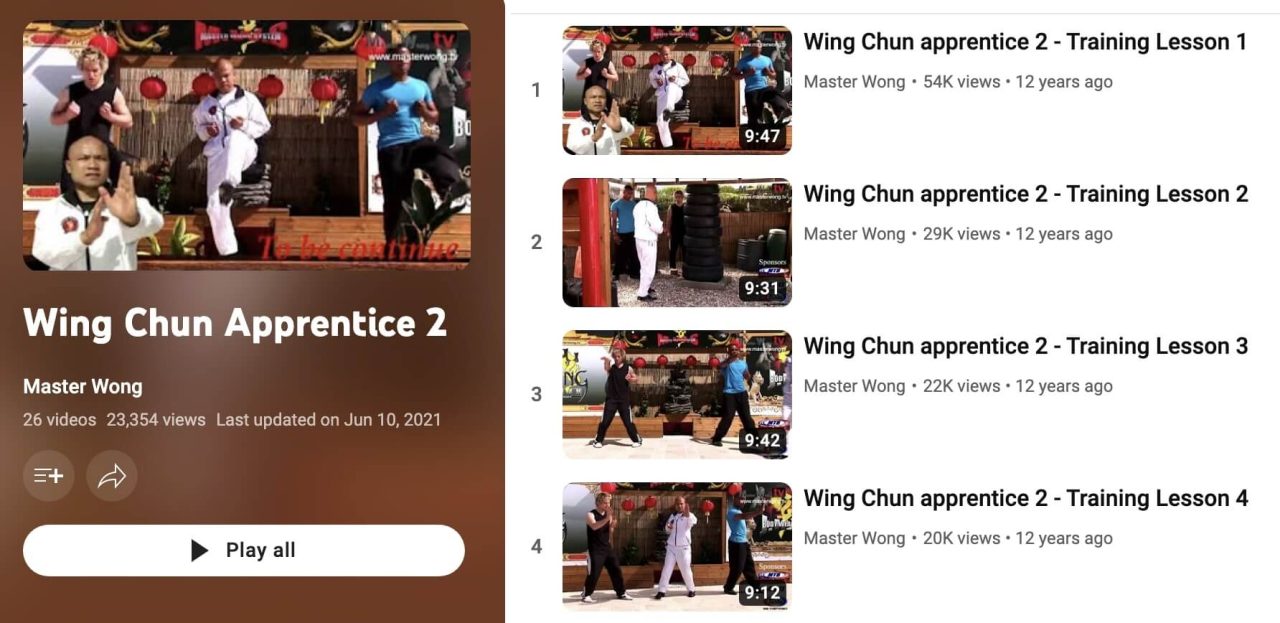 Wing Chun Apprentice